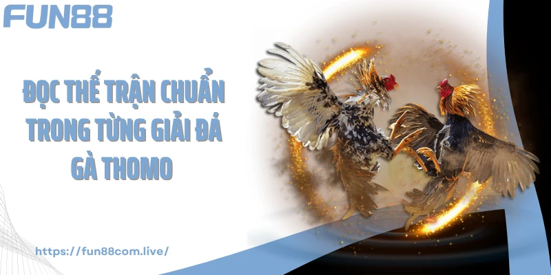 Đọc thế trận chuẩn trong từng giải đá gà thomo 