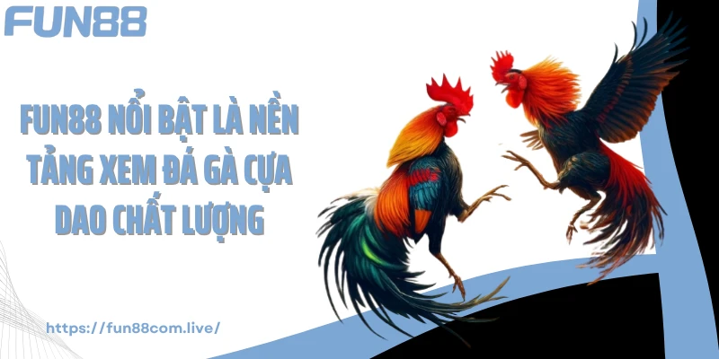 Fun88 nổi bật là nền tảng xem đá gà cựa dao chất lượng