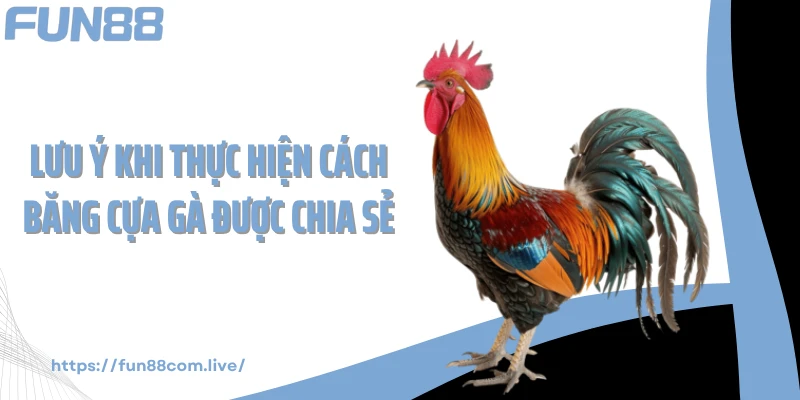 Lưu ý khi thực hiện cách băng cựa gà được chia sẻ