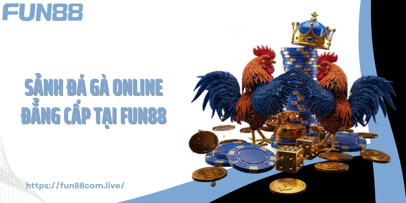 Sảnh đá gà online đẳng cấp tại FUN88